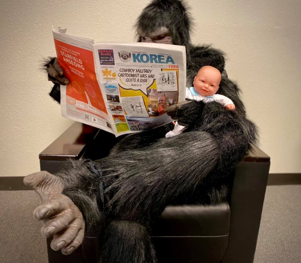 Gorilla reads Stripes Korea