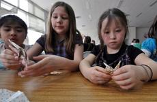 Third-graders from Sollars Elementary School at Misawa Air Base, Japan, work together April 8 to build origami cranes.