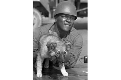 Sp4 Granson Smith of Chicago - just arrived in country with the 6th Battalion, 31st Infantry, 9th Infantry Division troops - plays with a dog as he waits for his unit to move out of the airport onto their next destination.